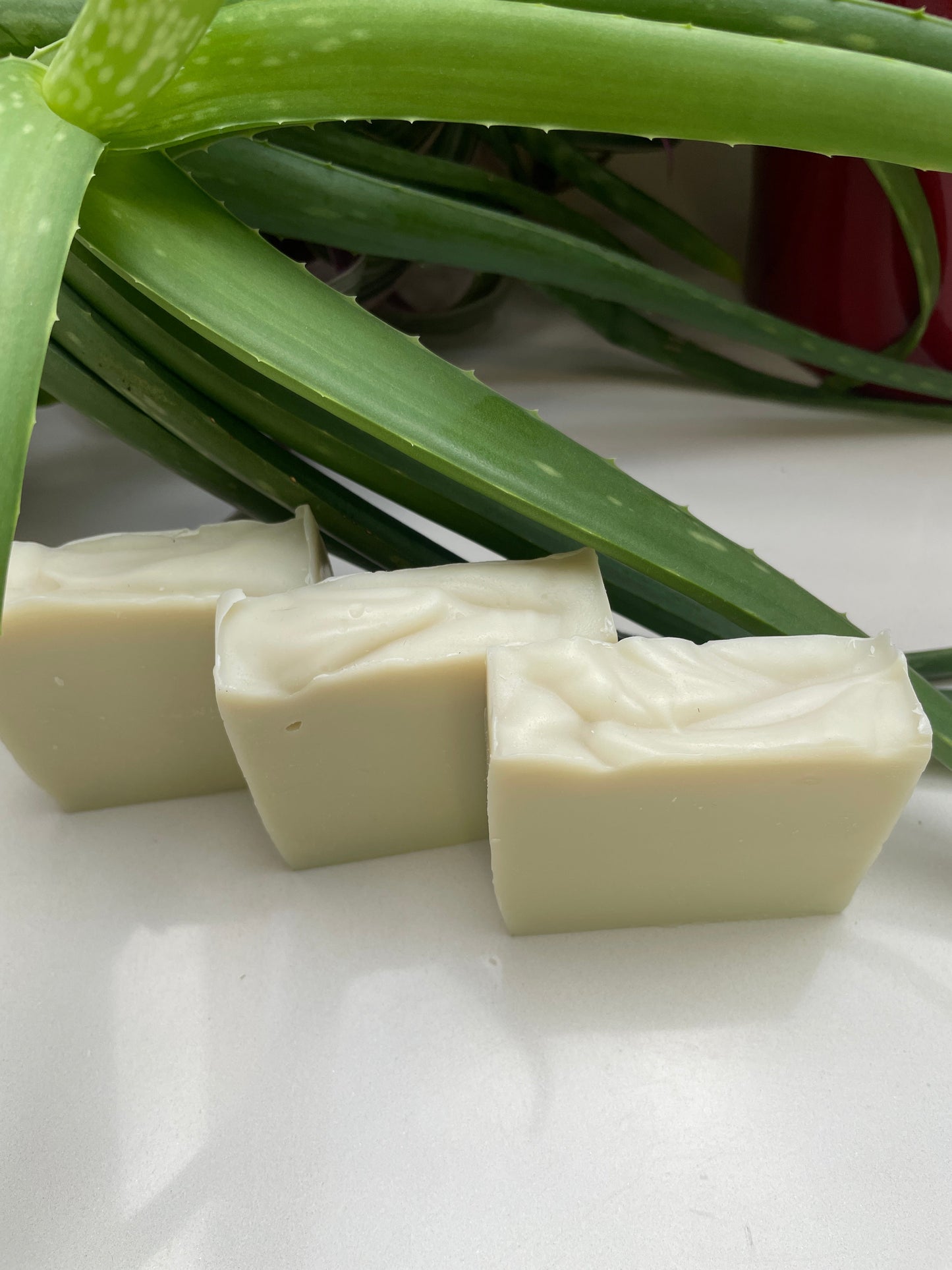 Environmentally friendly handmade natural aloe vera soap bars with aloe vera plant