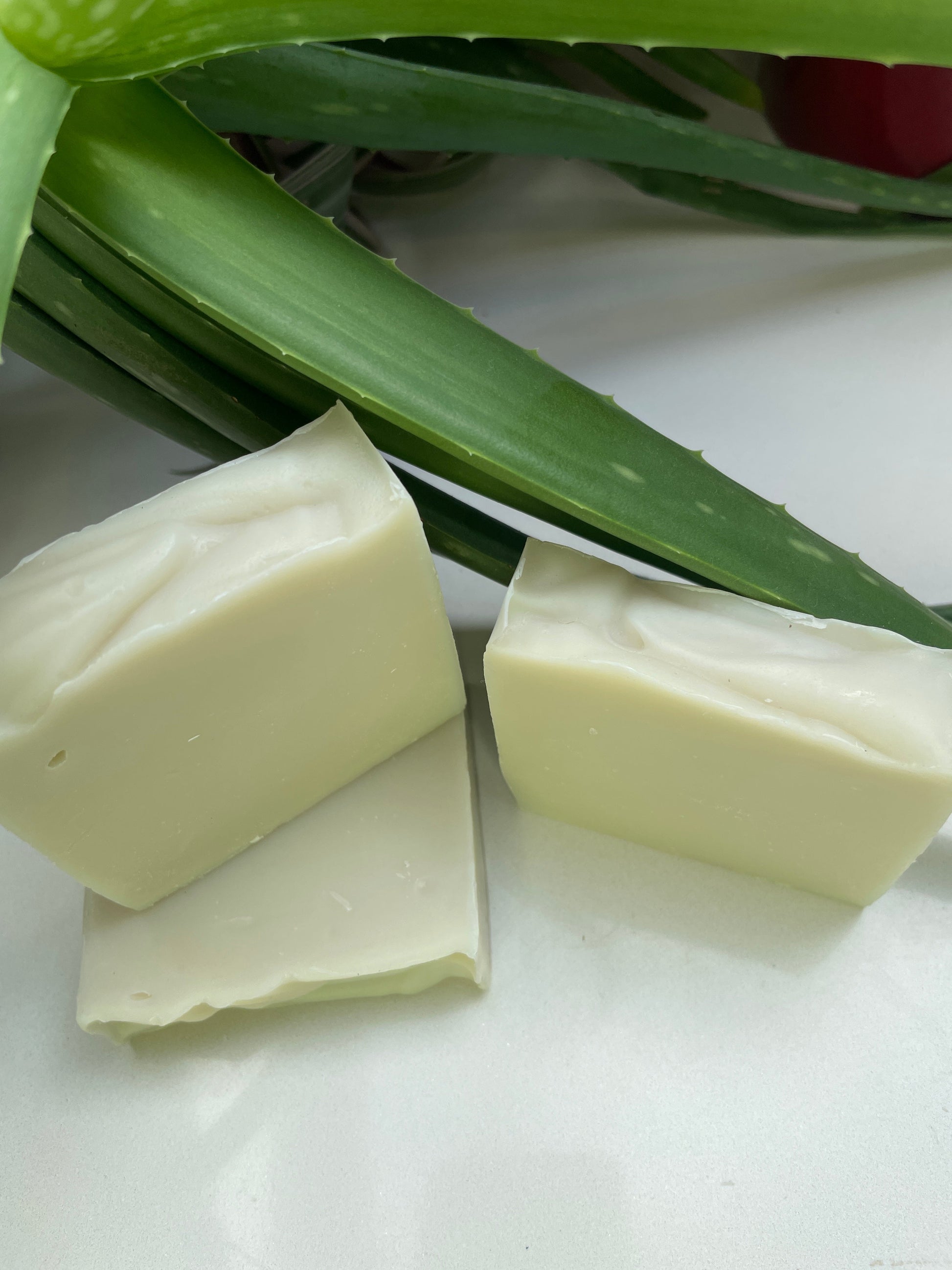 Environmentally friendly handmade natural aloe vera soap bars with aloe vera plant