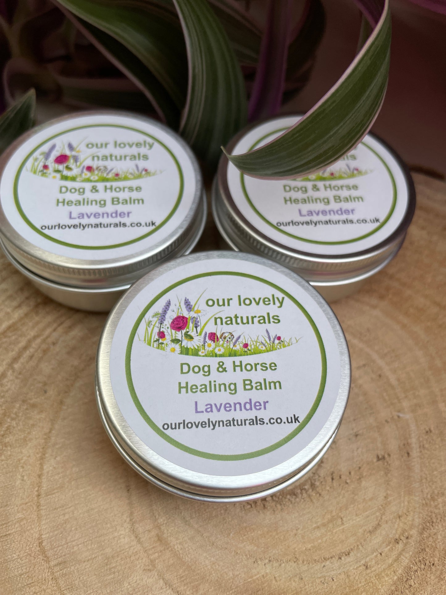 Tins of environmentally friendly handmade dog & horse healing balm - lavender.