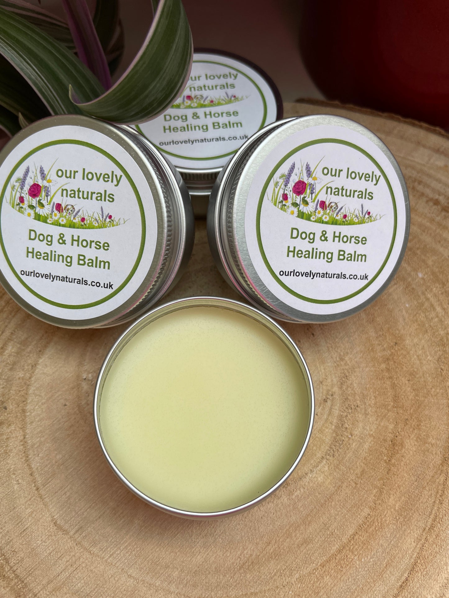 Tins of environmentally friendly handmade dog & horse healing balm.  One tin is open showing the unscented soothing balm.