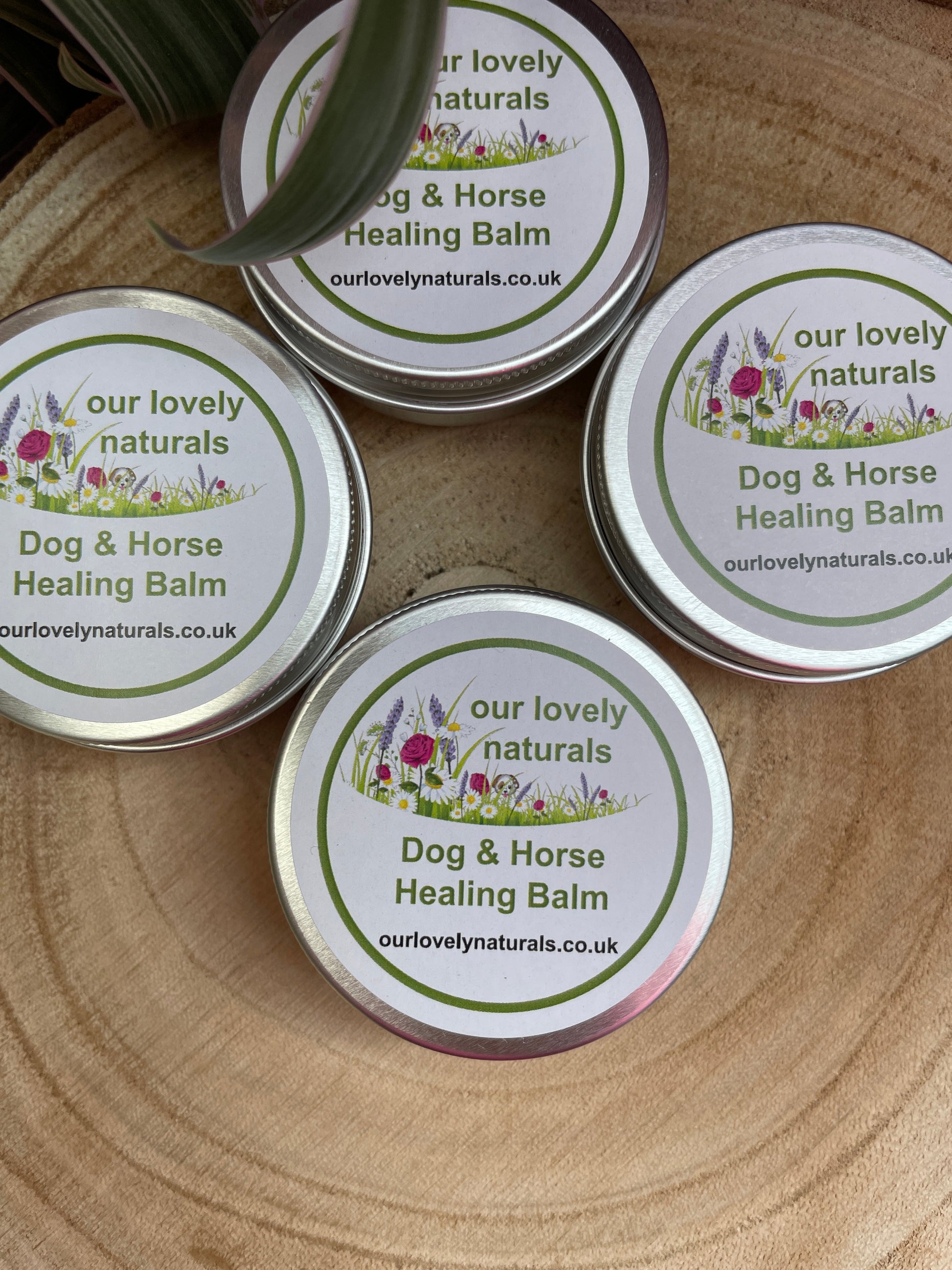 Tins of environmentally friendly handmade unscented healing dog & horse healing balm.