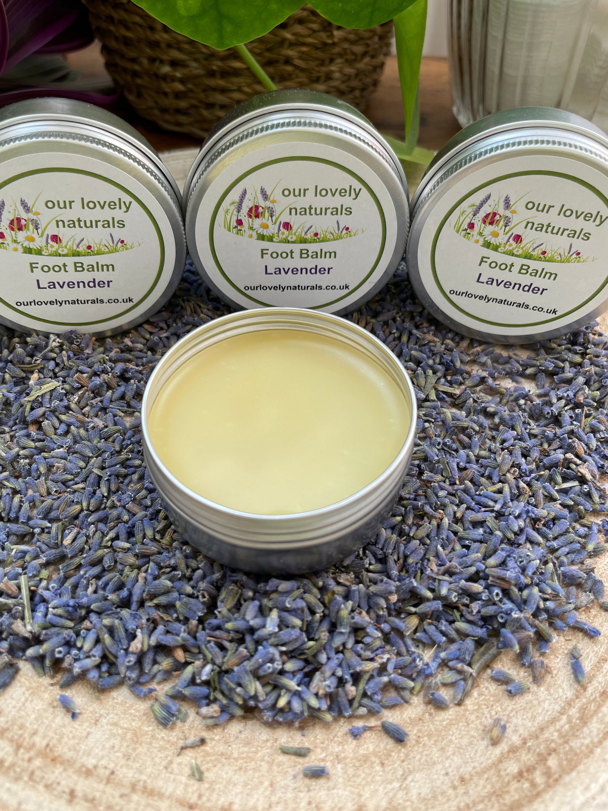 Handmade natural environmentally friendly foot balm - lavender in a tin sat on a slice of wooden tree with lavender buds.