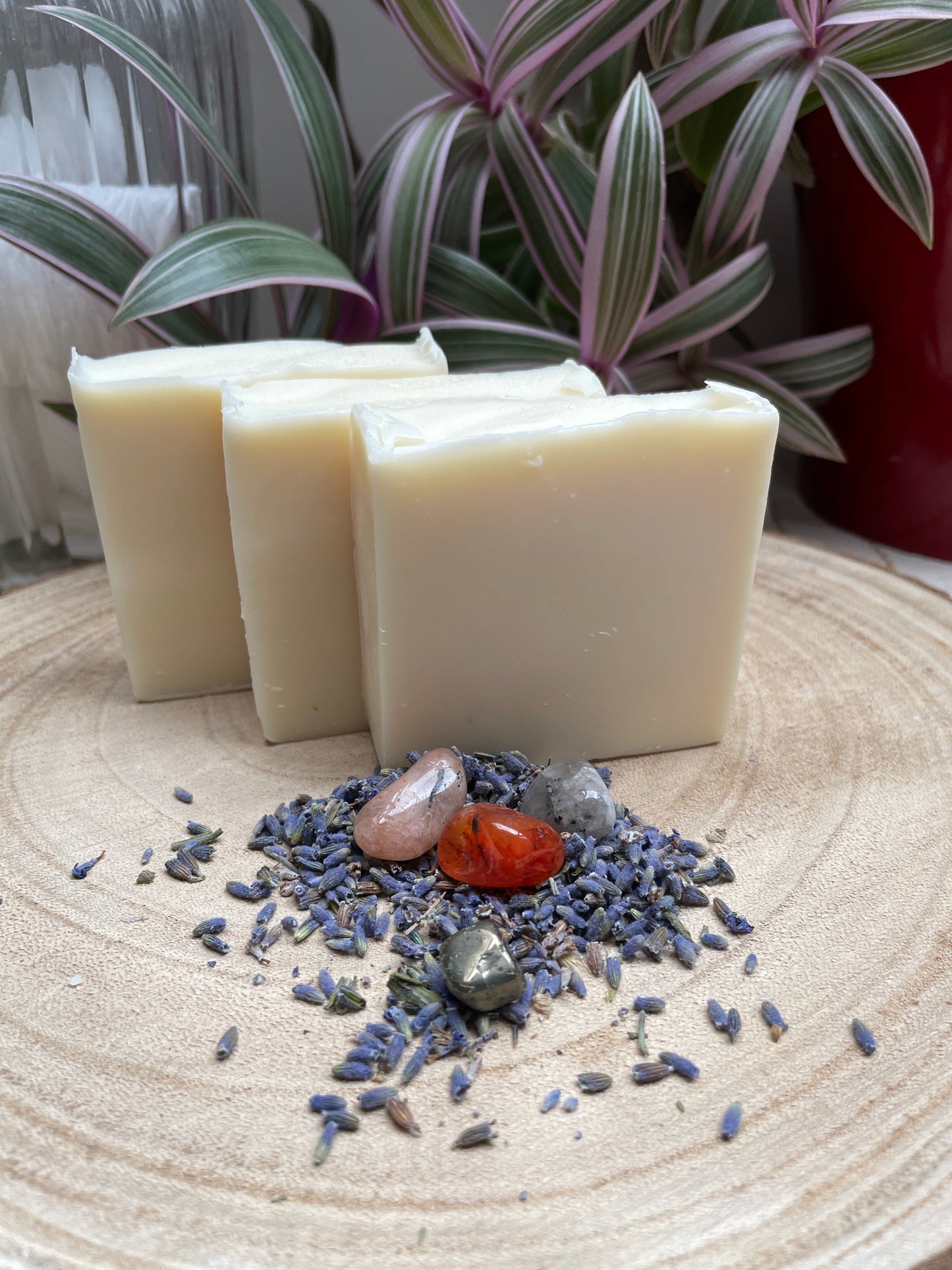 Bars of handmade environmentally friendly and natural Lavender Frankincense & Eucalyptus Soap Bar displayed with dried lavender buds and healing stones and plants.