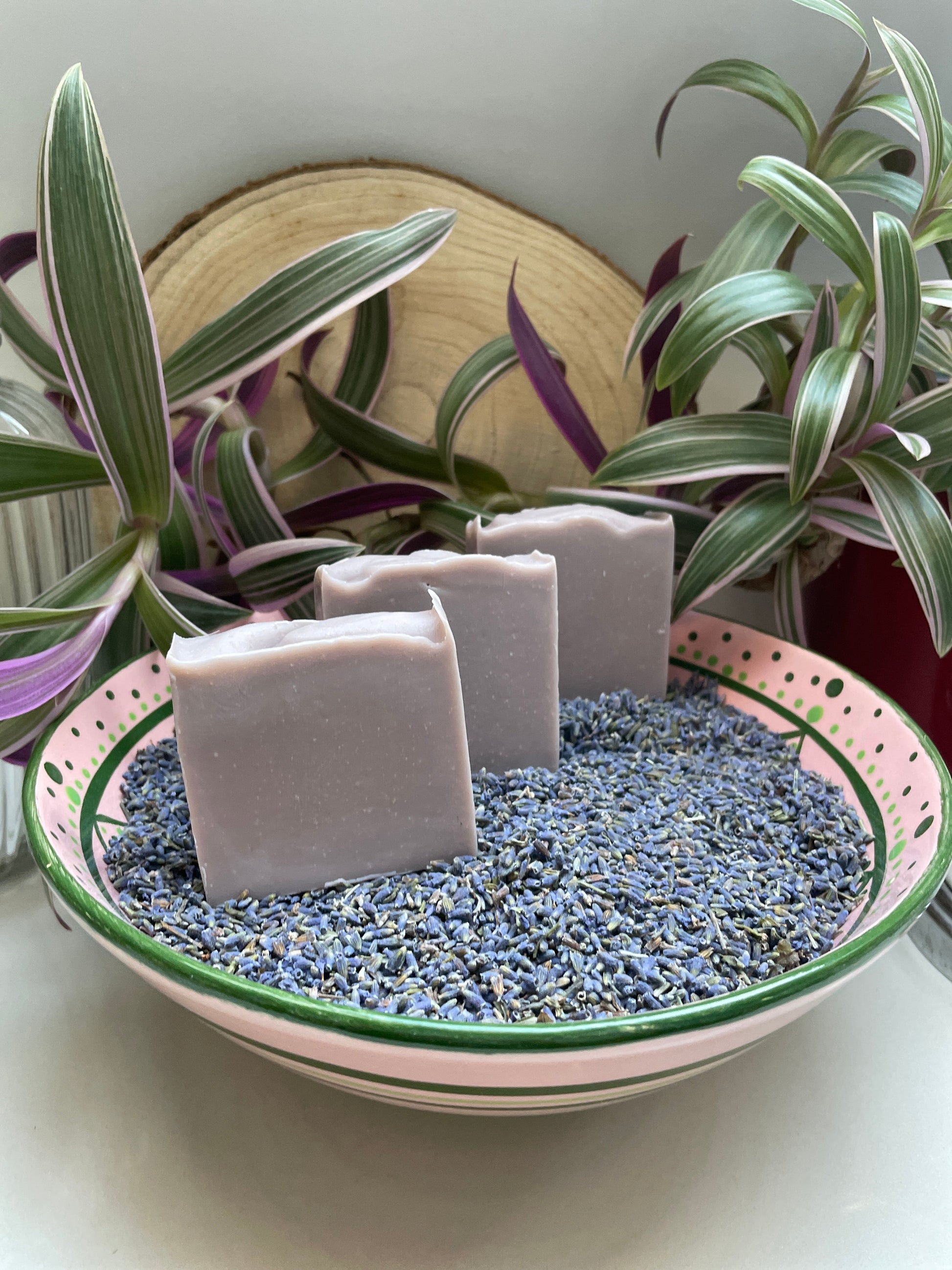 Environmentally friendly handmade lavender soap bar sitting in a bowl of dried lavender.