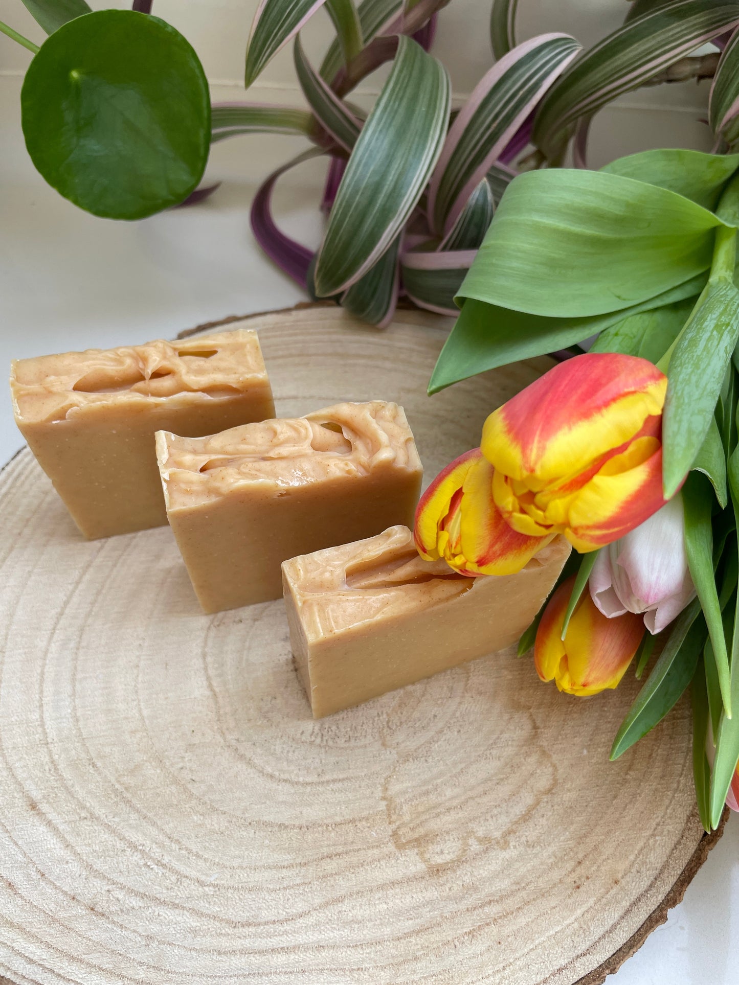 Environmentally friendly bars of handmade lemon, orange, geranium & ylang ylang soap bar is displayed with green plants and brightly colour tulips flowers.