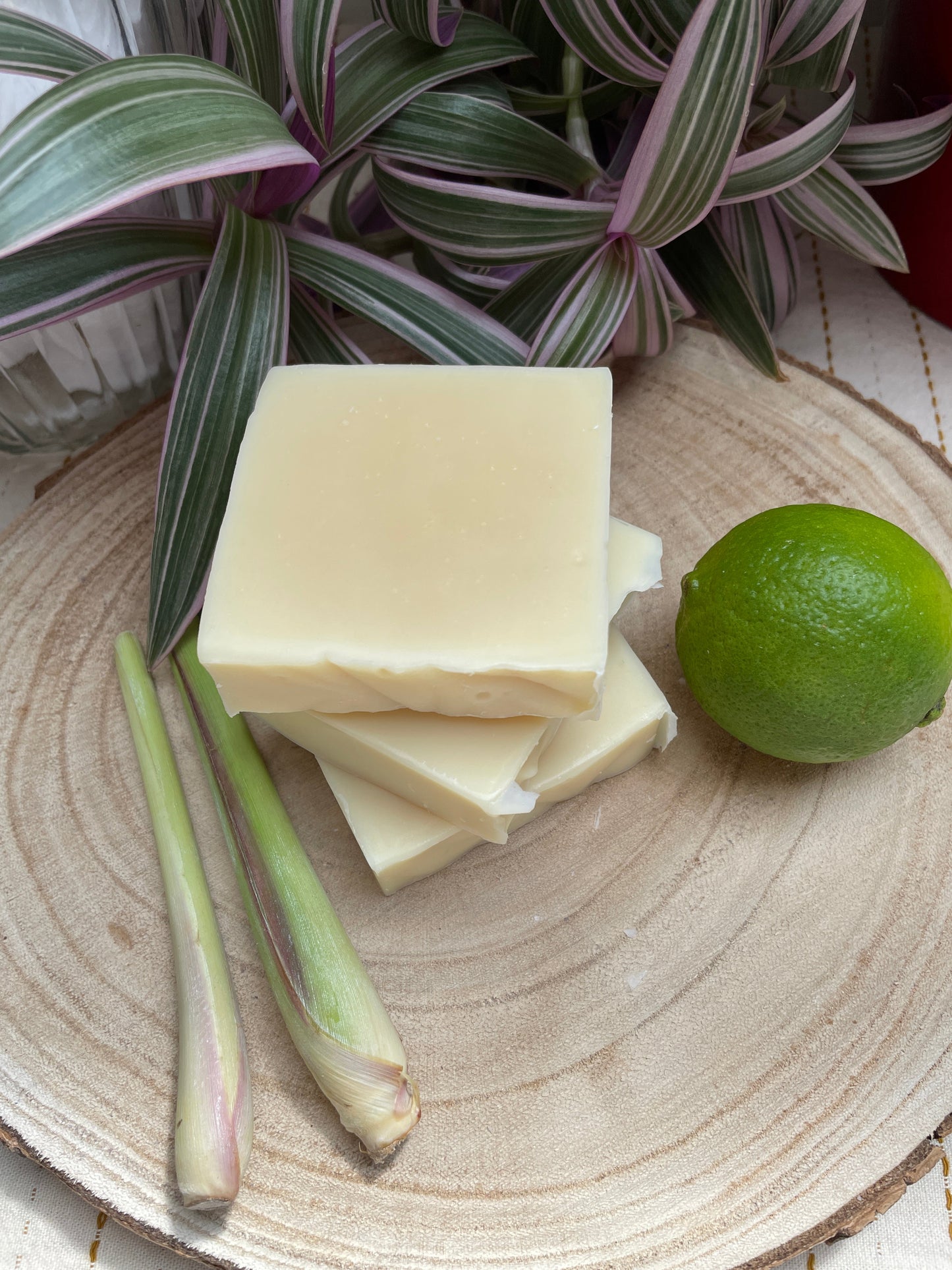 Bars of handmade environmentally friendly and natural lemongrass & lime soap bar displayed with and lemongrass and lime and a plants.