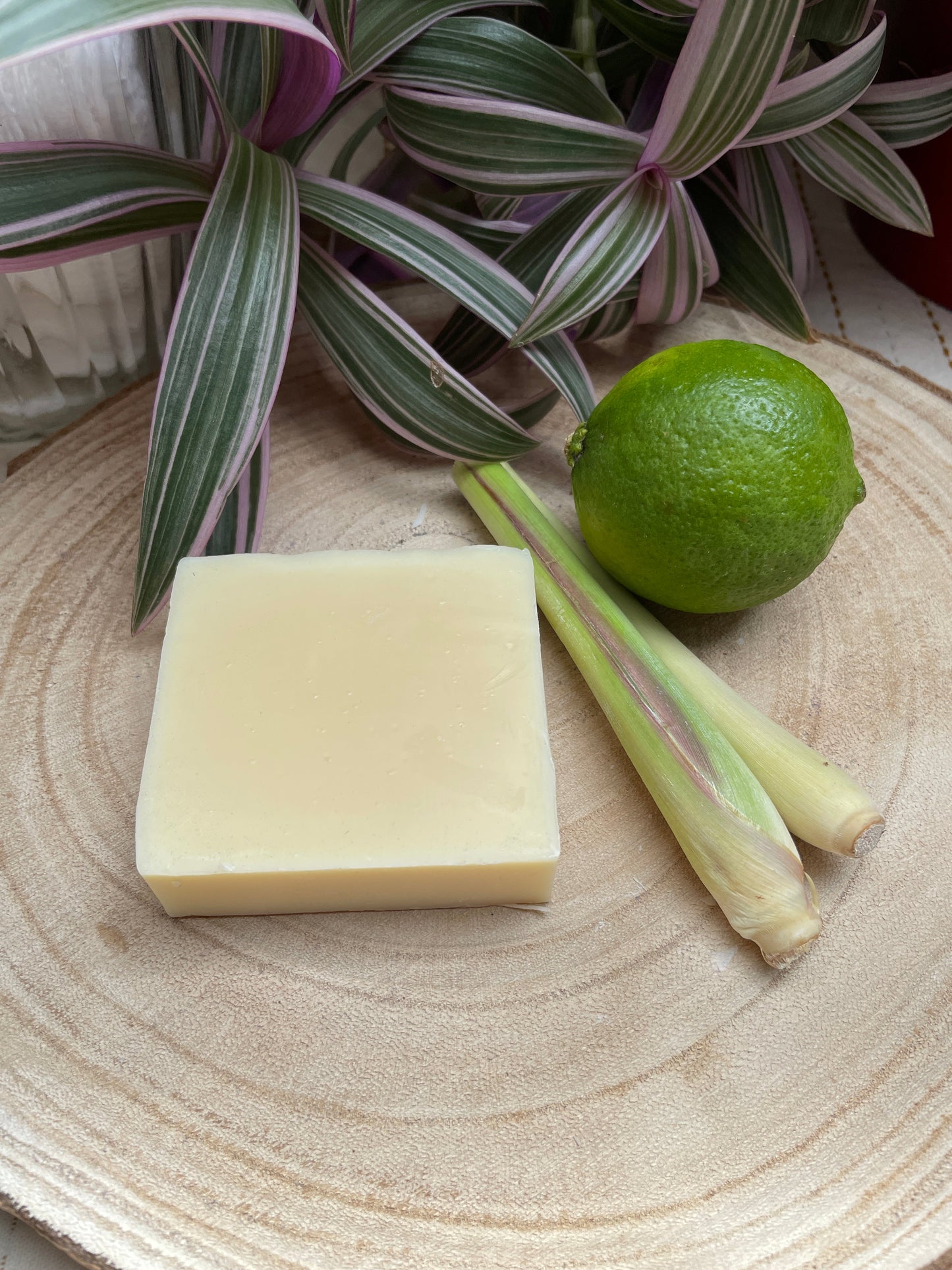 Bars of handmade environmentally friendly and natural lemongrass & lime soap bar displayed with and lemongrass and lime and a plants.