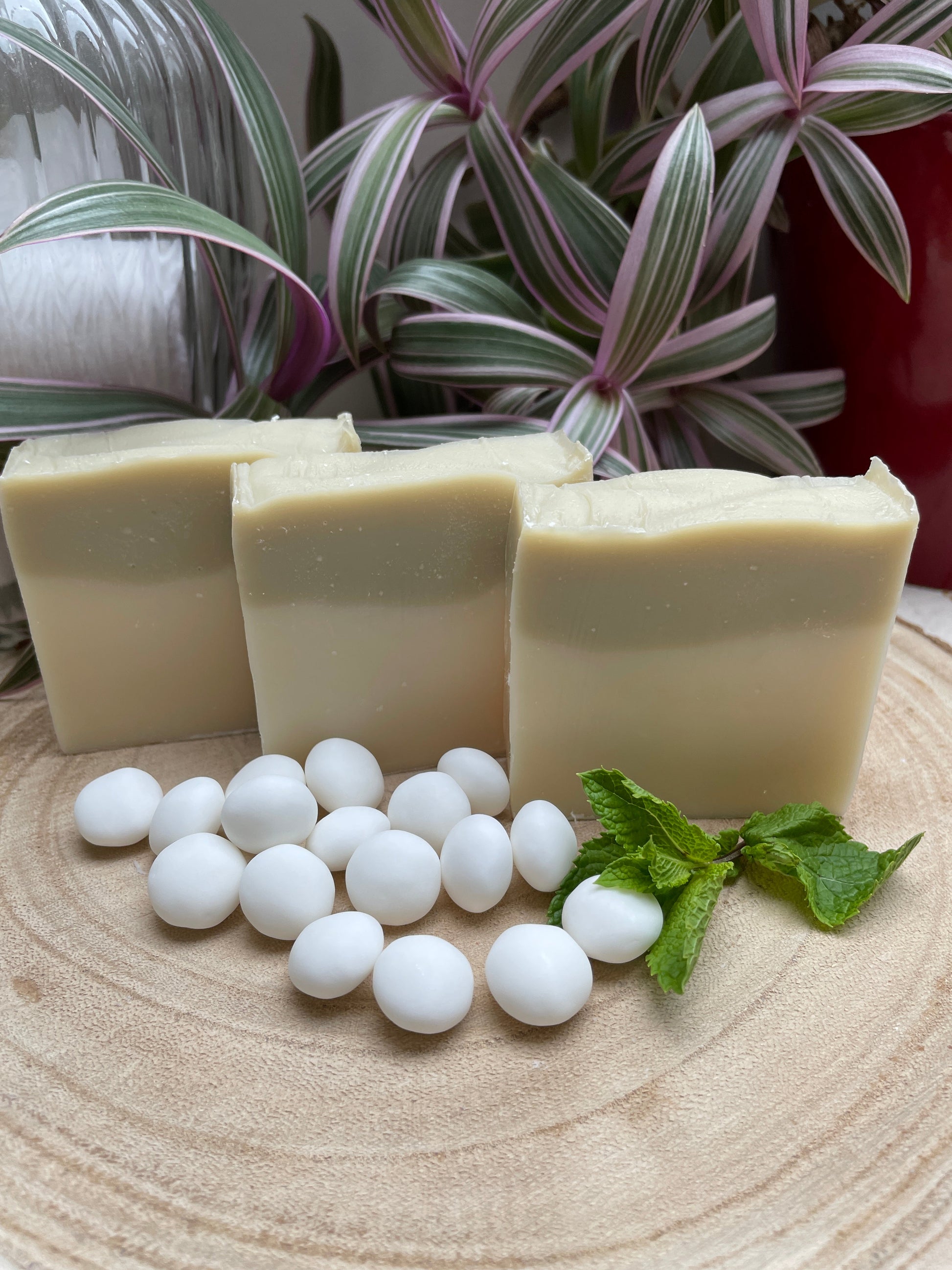 Bars of handmade environmentally friendly and natural peppermint & spearmint soap bar displayed with mint sweets and mint leaves and a plants.