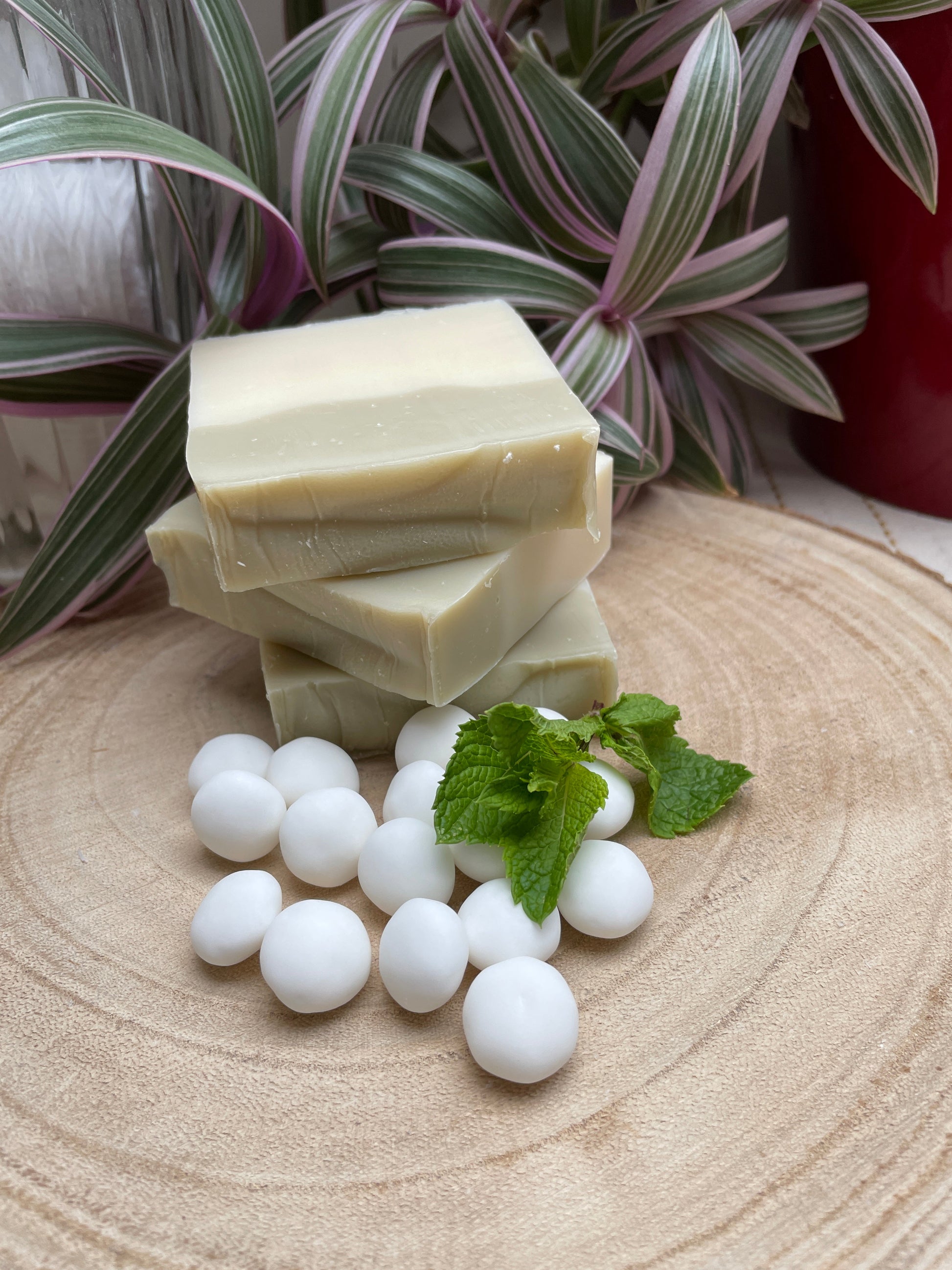 Bars of handmade environmentally friendly and natural peppermint & spearmint soap bar displayed with mint sweets and mint leaves and a plants.