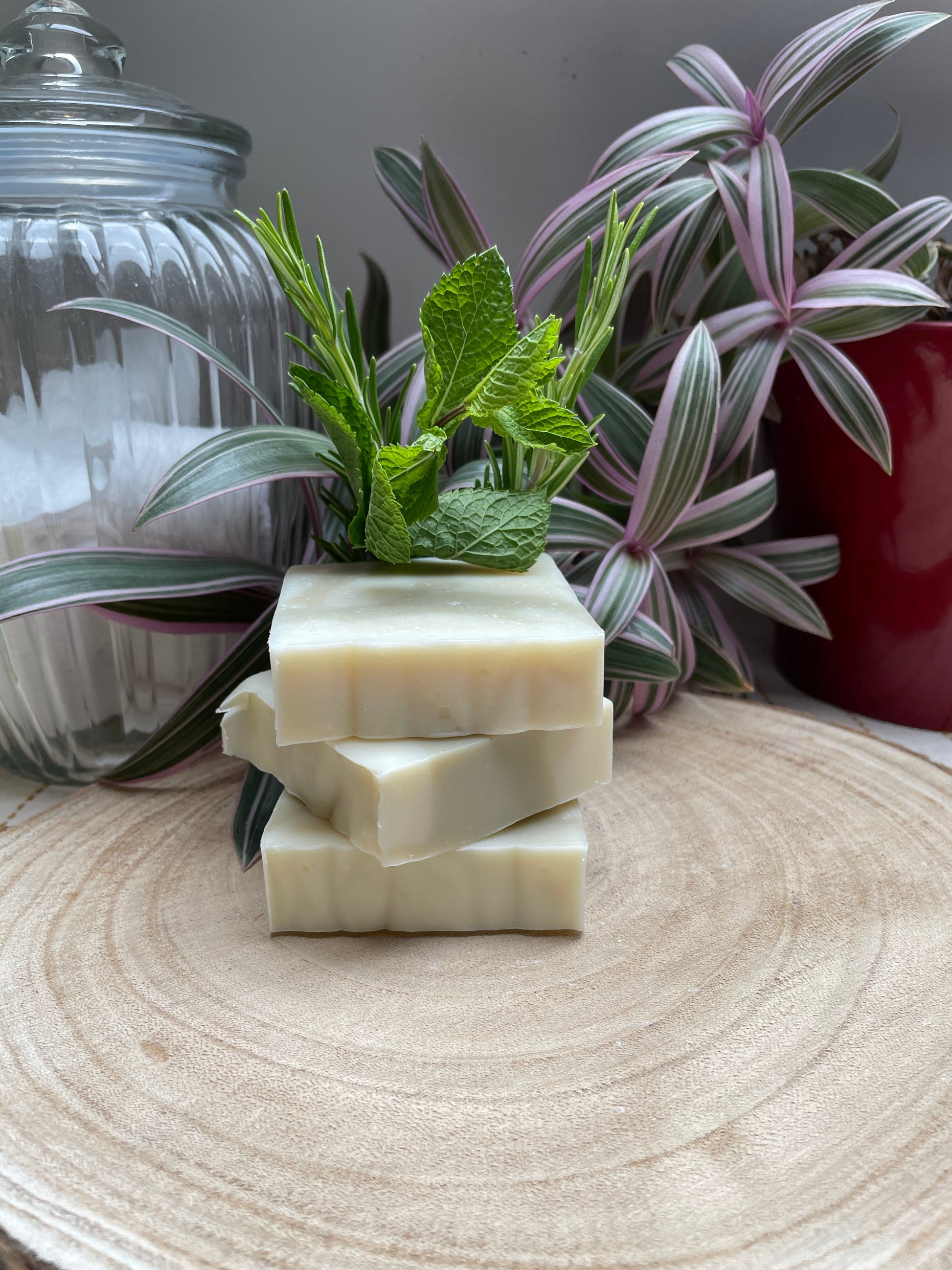 Bars of handmade environmentally friendly and natural rosemary & patchouli soap bar displayed with and rosemary and patchouli leaves and a plants.