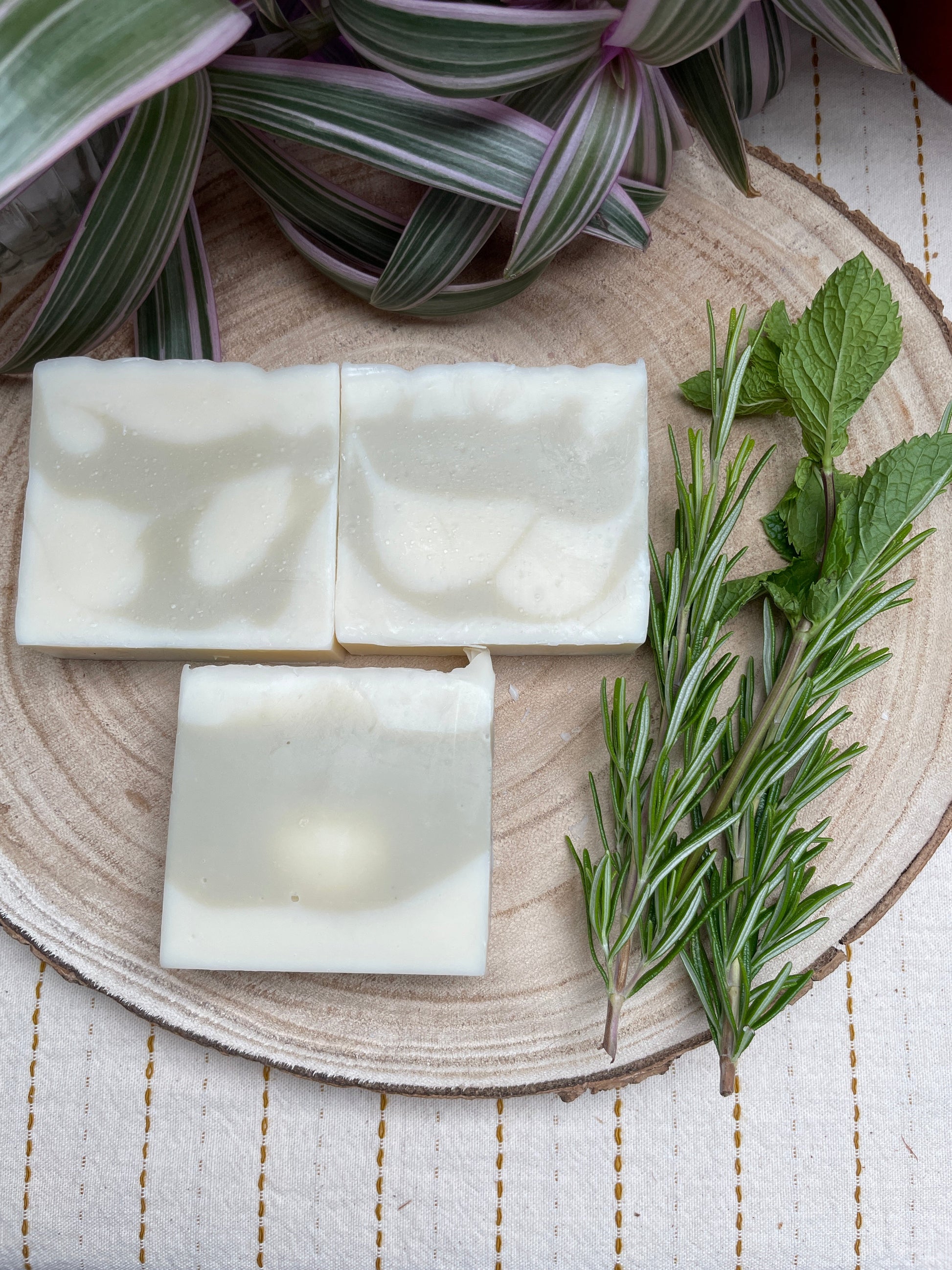 Bars of handmade environmentally friendly and natural rosemary & patchouli soap bar displayed with and rosemary and patchouli leaves and a plants.