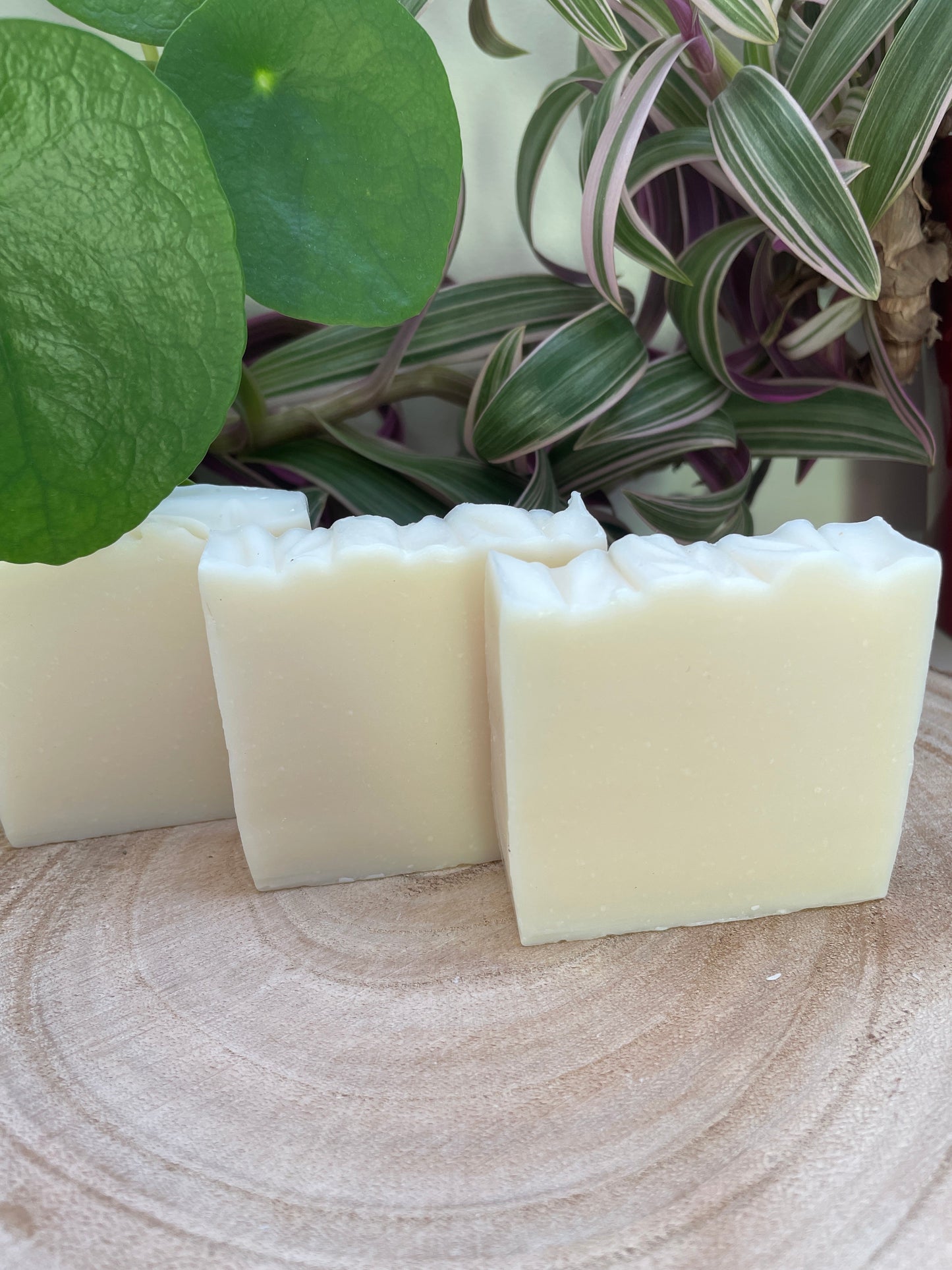 Natural handmade and environmentally friendly the naked soap bar is unscented and displayed on a log with plants behind.